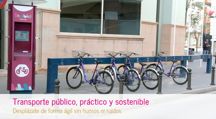 denibici.labici.net